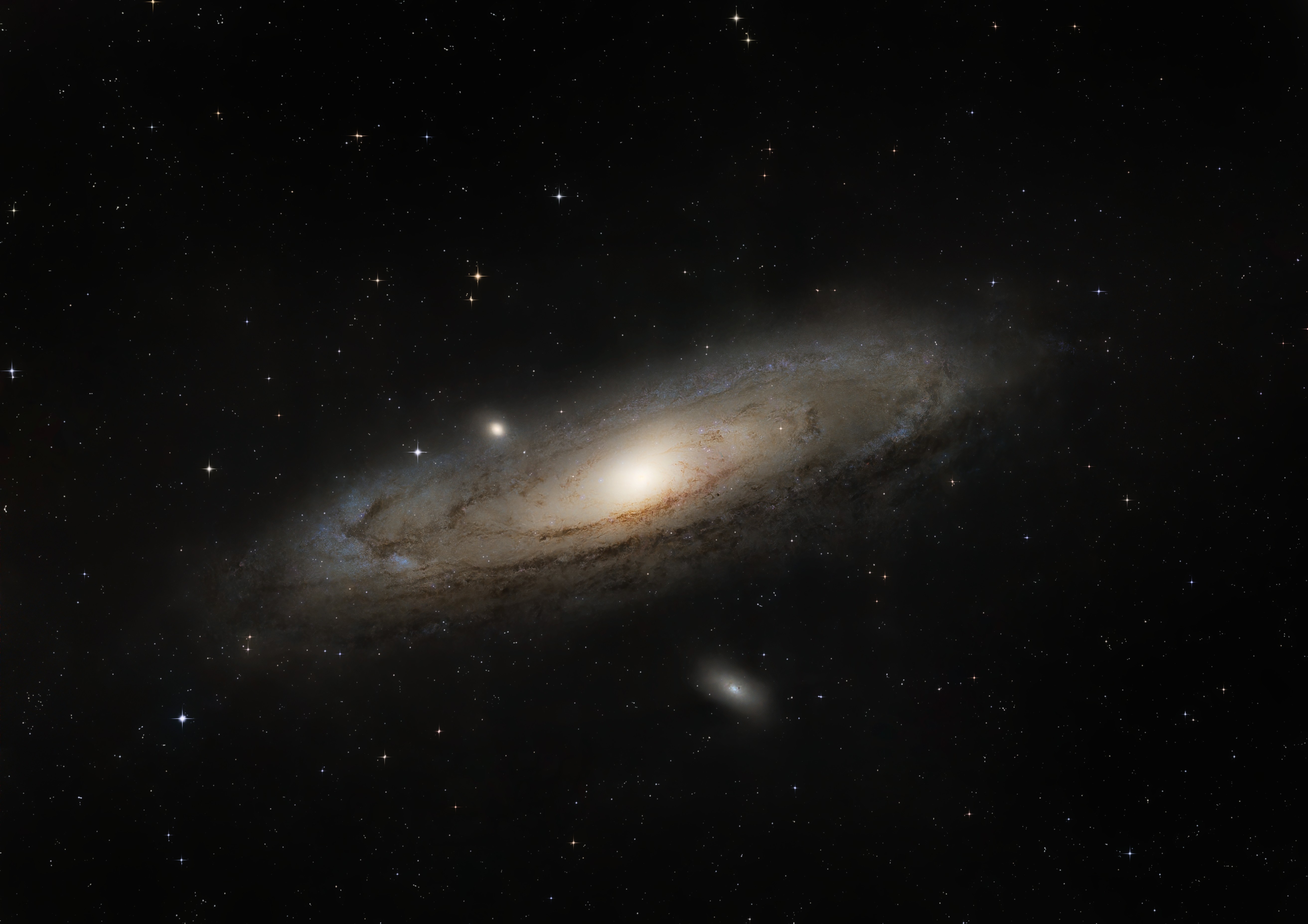 M31