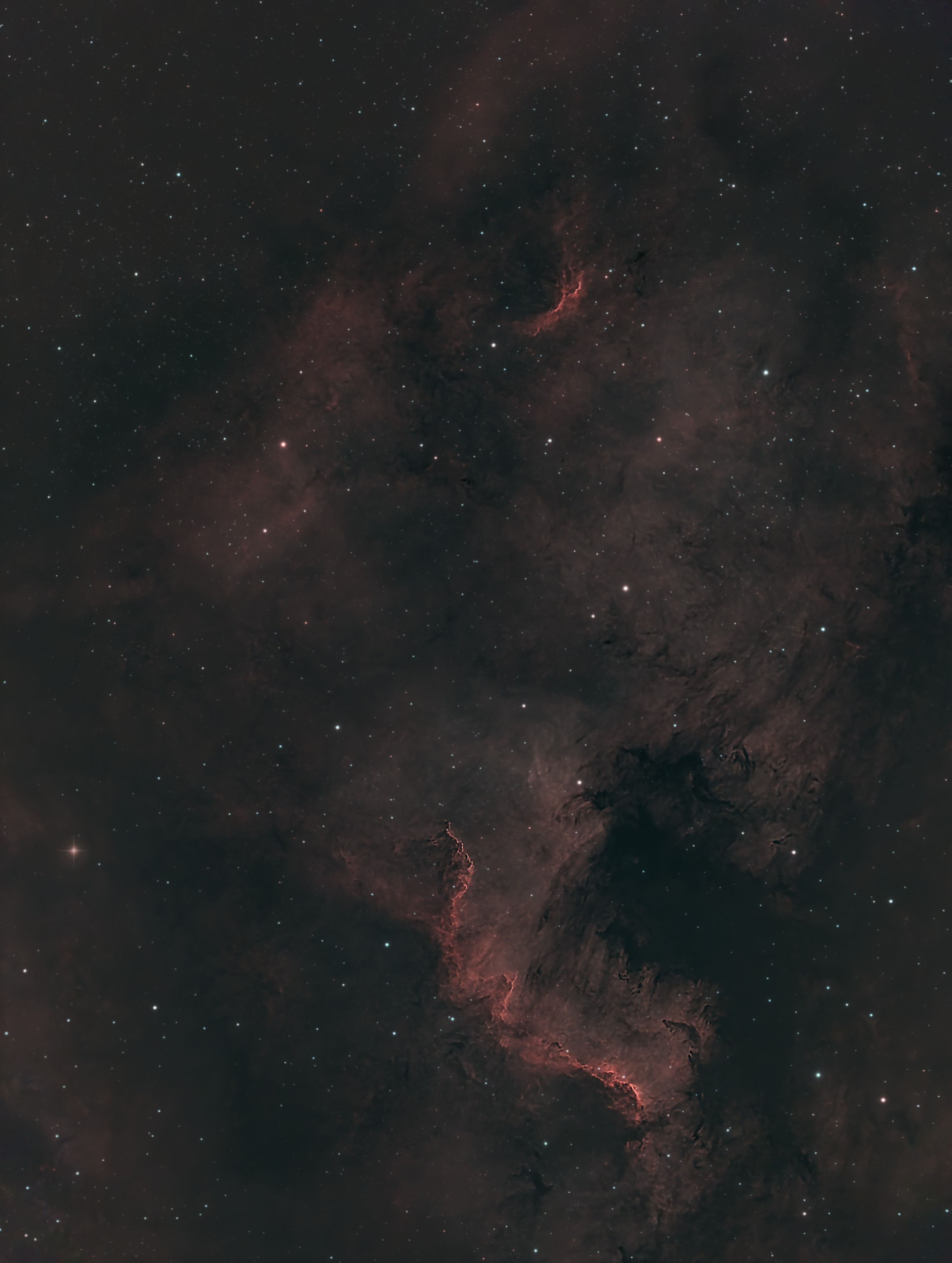 NGC 7000
