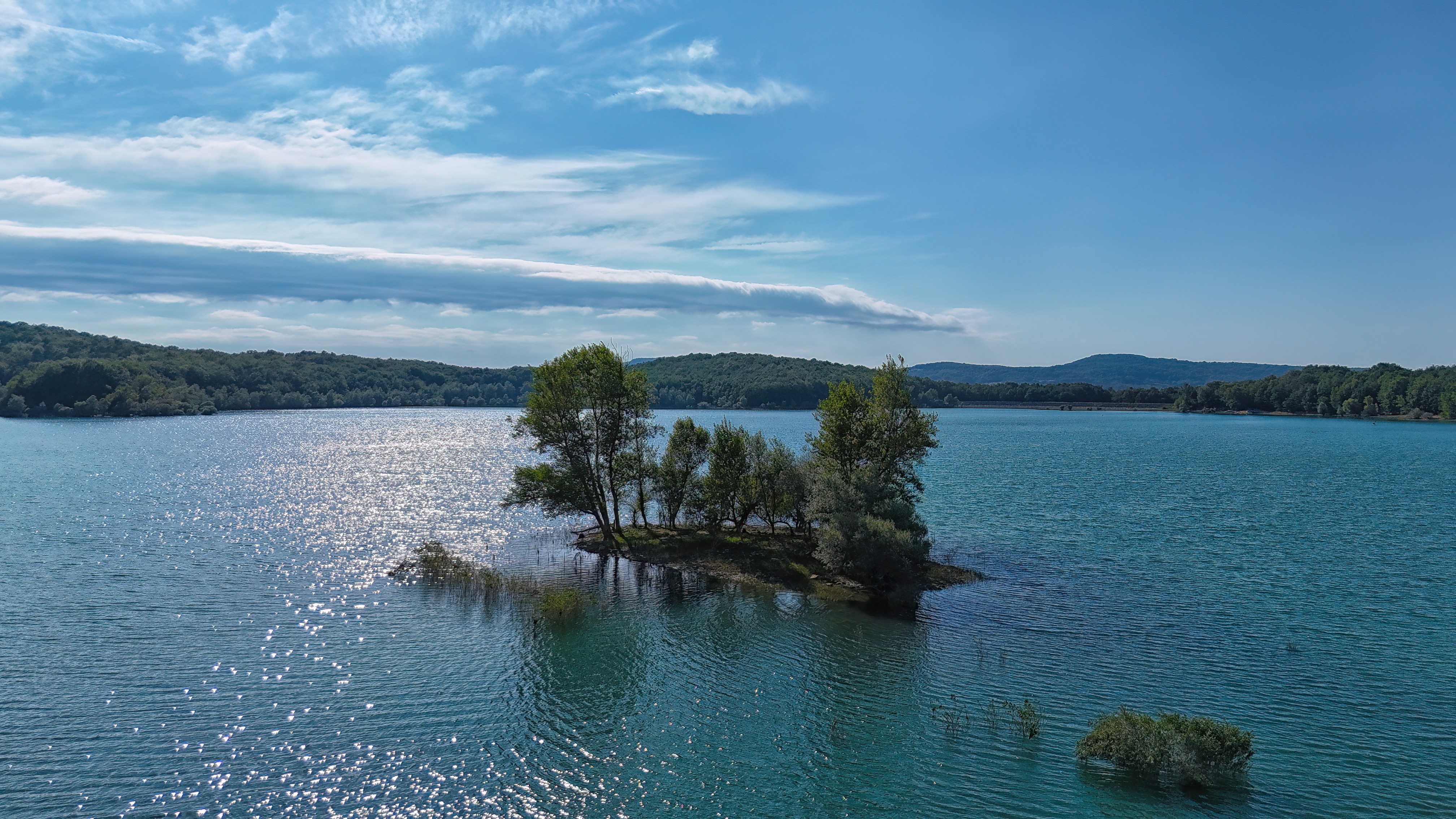 L'Îlot aux Saules - Lac de Montbel sous la lumière d'été